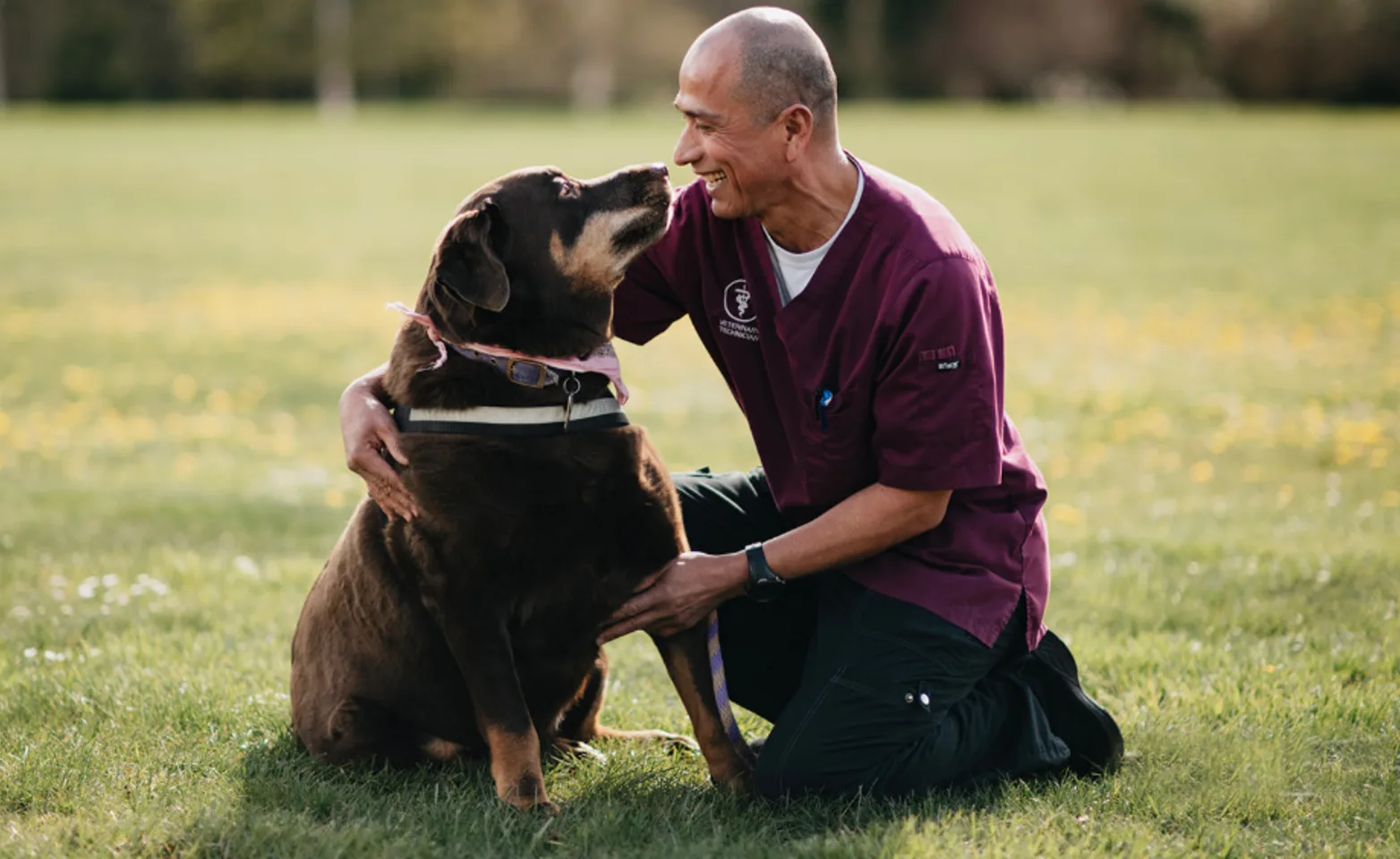 Male Veterinary Assistant smiling with a brown dog in the grass